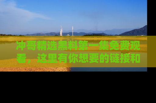 冲哥精选黑料第一集免费观看，这里有你想要的链接和内幕！