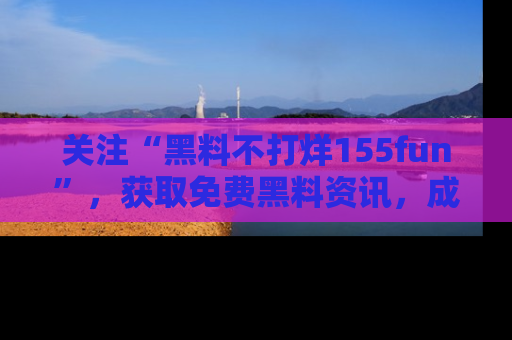 关注“黑料不打烊155fun”，获取免费黑料资讯，成为吃瓜达人不再难！