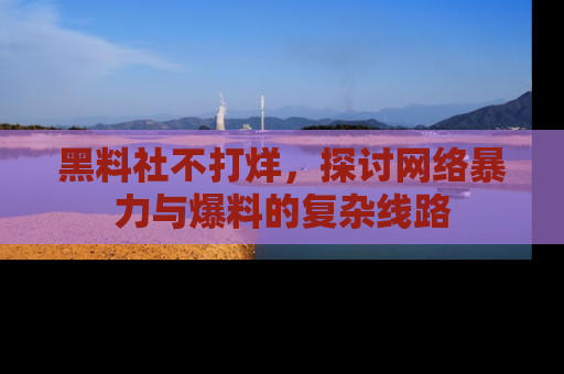 黑料社不打烊，探讨网络暴力与爆料的复杂线路