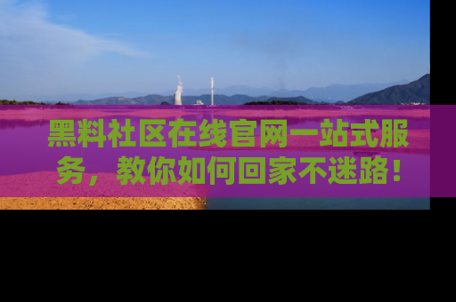 黑料社区在线官网一站式服务，教你如何回家不迷路！