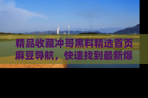 精品收藏冲哥黑料精选首页麻豆导航，快速找到最新爆料