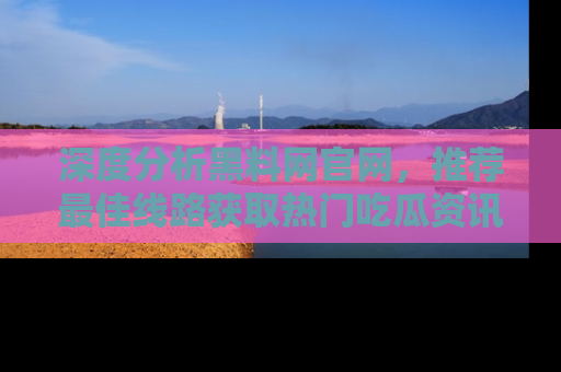 深度分析黑料网官网，推荐最佳线路获取热门吃瓜资讯