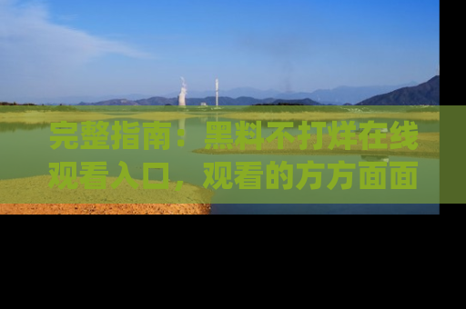 完整指南:黑料不打烊在线观看入口,观看的方方面面与app选择