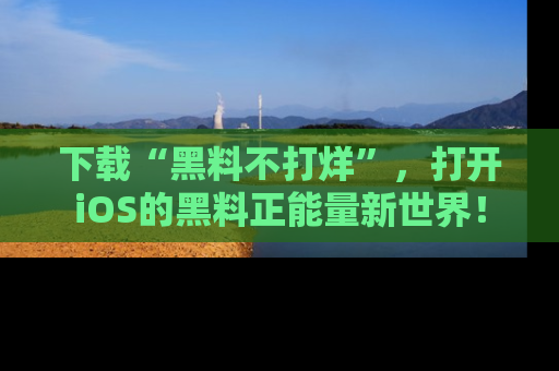 下载“黑料不打烊”,打开iOS的黑料正能量新世界!