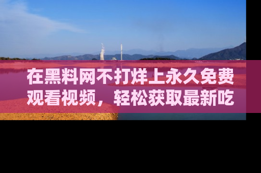 在黑料网不打烊上永久免费观看视频,轻松获取最新吃瓜资讯!