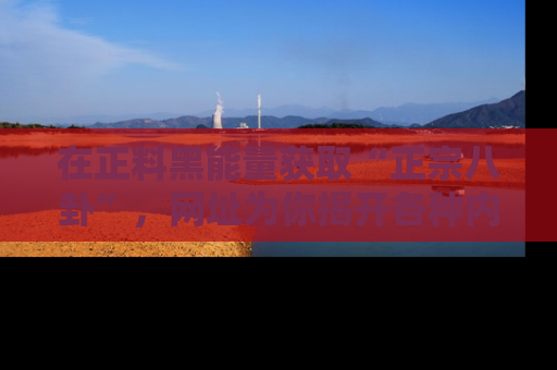 在正料黑能量获取“正宗八卦”,网址为你揭开各种内幕故事!