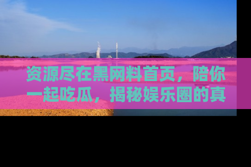 资源尽在黑网料首页,陪你一起吃瓜,揭秘娱乐圈的真实内幕